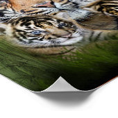 Ik hou van Tigers Poster (Hoek)
