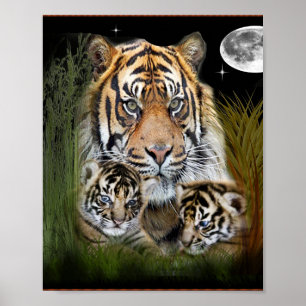 Ik hou van Tigers Poster