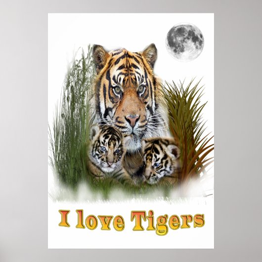 Ik hou van tijgers poster (Voorkant)