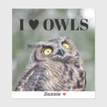 Ik hou van uilen sticker