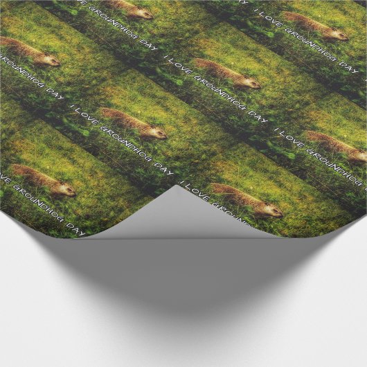 Ik hou van verpakkingspapier op de Dag van de Grou Cadeaupapier (Hoek)