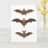 Ik hou van vleermuizen kaart (Gele Bloem)