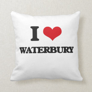 Ik hou van Waterbury Kussen