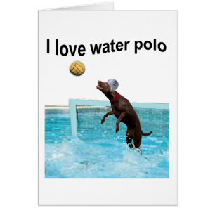 Ik hou van waterpolo
