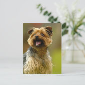 Ik hou van Yorkies! Briefkaart (Staand voorkant)