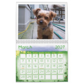 Ik hou van Yorkies! Kalender (Mar 2027)