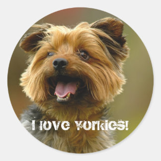 Ik hou van Yorkies! Sticker