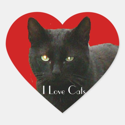 Ik hou van zwarte katten hart sticker (Voorkant)
