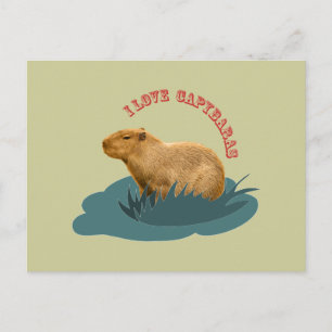 Ik houd van capybaras briefkaart