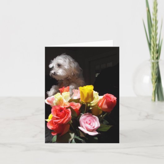 Ik houd van Daisy Feestdagen Kaart (Voorkant)