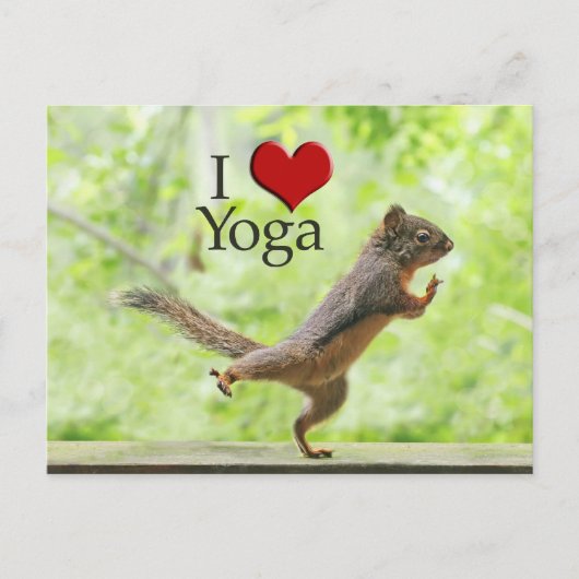 Ik houd van de Eekhoorn van de Yoga Briefkaart (Voorkant)
