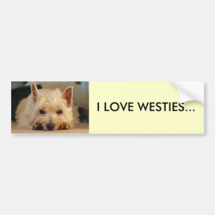 IK HOUD VAN DE WESTIES CAR BUMPERSTICKER