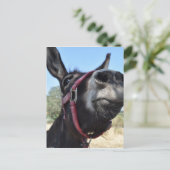 Ik houd van Ezels! Briefkaart (Staand voorkant)