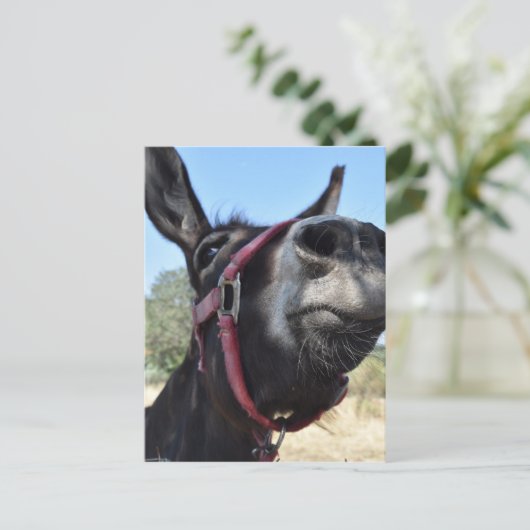 Ik houd van Ezels! Briefkaart (Staand voorkant)