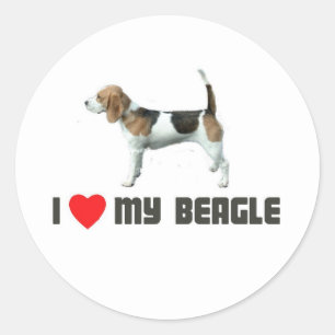 Ik houd van mijn beagle ronde sticker