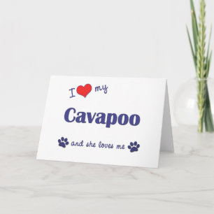Ik houd van Mijn Cavapoo (Vrouwelijke Hond) Kaart