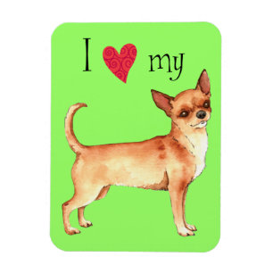Ik houd van mijn Chihuahua Magneet