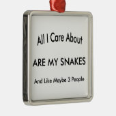Ik houd van Mijn Slangen Metalen Ornament (Rechts)