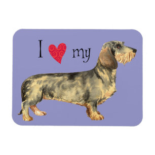 Ik houd van mijn Wirehaired Tekkel Magneet