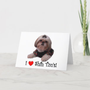 Ik houd van Shih Tzu Kaart