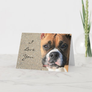 Ik houd van u het wenskaart van de Hond van de Kaart