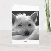 Ik houd van u kaard - de Leuke Kaart van de Hond (Achterkant)