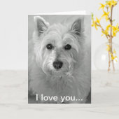 Ik houd van u kaard - de Leuke Kaart van de Hond (Gele Bloem)