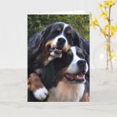 Ik houd van u kaart (Gele Bloem)