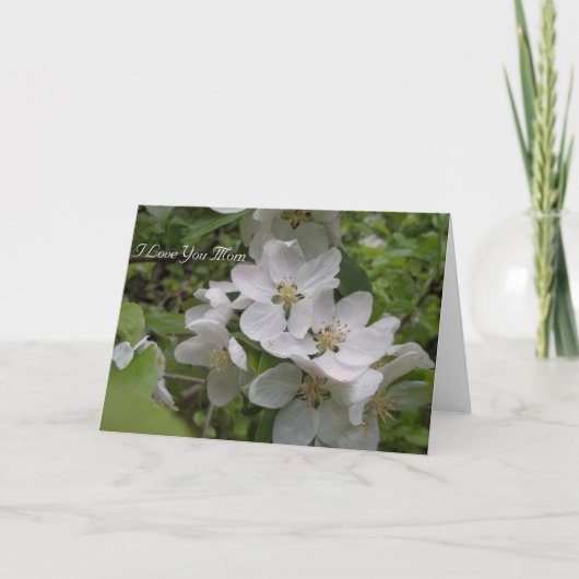 Ik houd van u Mamma Kaart (Voorkant)