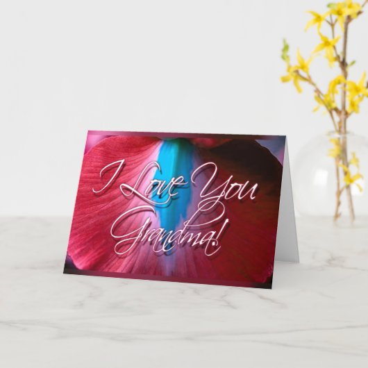 Ik houd van u Oma! Kaart (rode orchidee) (Gele Bloem)