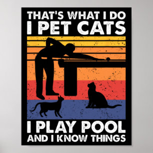 Ik huisdier katten ik speel zwembad en ik weet din poster