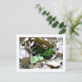 Ik juf u (Zuid-Korea) Briefkaart (Staand voorkant)