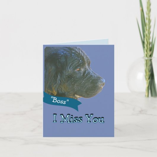 "Ik juffrouw jullie" Mooie, saaie Newfie Dog Kaart (Voorkant)