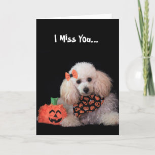 Ik juffrouw u Halloween poodle Kaart
