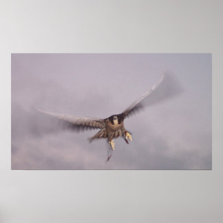 Ik kan de Donder niet stoppen.. Poster