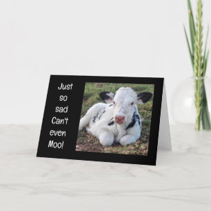 IK KAN GEEN VROLIJK KERSTFEEST PERSOONLIJK TEGEN " FEESTDAGEN KAART