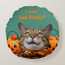 Ik kan heeft traktaties kat rond Sierkussen