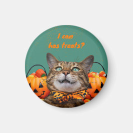 Ik kan heeft traktaties kattenmagneet magneet