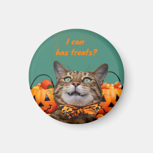 Ik kan heeft traktaties kattenmagneet magneet (Voorkant)