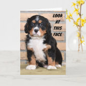 IK KAN HET NIET PERSOONLIJK ZEGGEN ZO TRIEST KERST KAART (Gele Bloem)