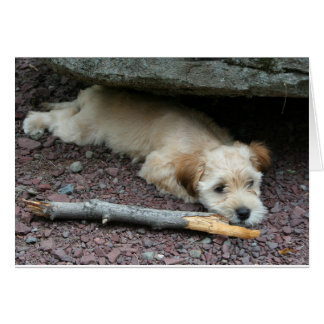 Ik kan je helpen met je kaart