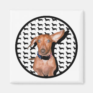 Ik kan je horen magneet