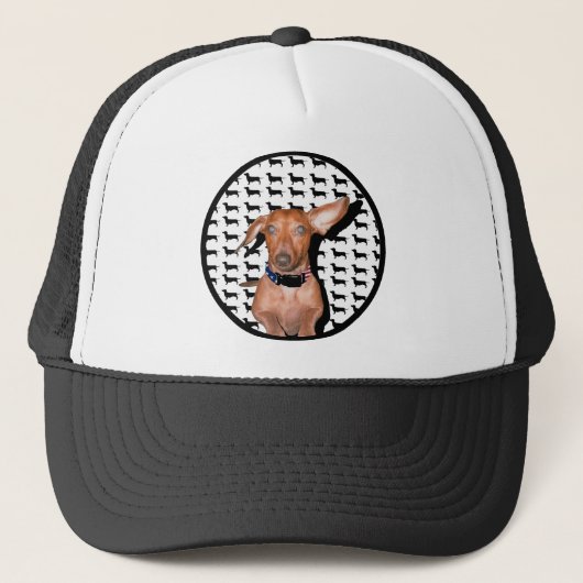 Ik kan je horen trucker pet (Voorkant)