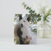 Ik kan je zien briefkaart (Staand voorkant)