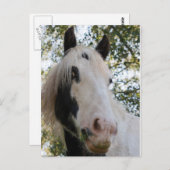 Ik kan je zien briefkaart (Voorkant / Achterkant)