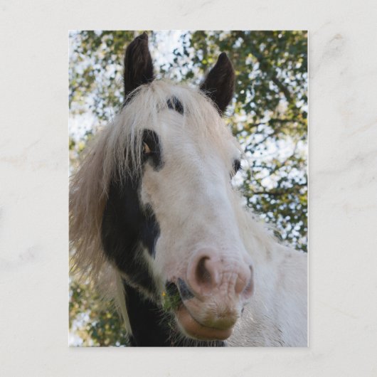 Ik kan je zien briefkaart (Voorkant)