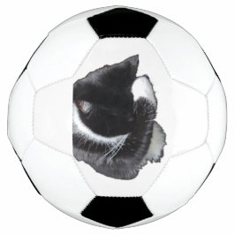 Ik Kan Me Nu Echt Niet Rechtzetten Voetbal