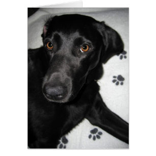 Ik kan mezelf niet helpen