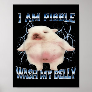 Ik Kan Mijn Buik Wassen Grappige Hond Maak Mijn Bu Poster