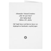 Ik kan mijn geheimen delen (Achterkant)